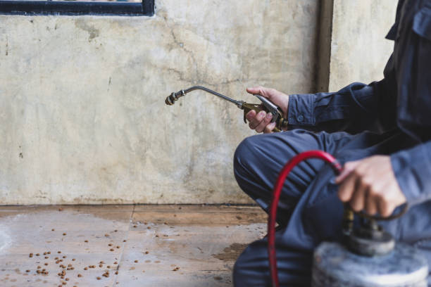 Best Rat Extermination Near Me  in Deerfield Beach, FL